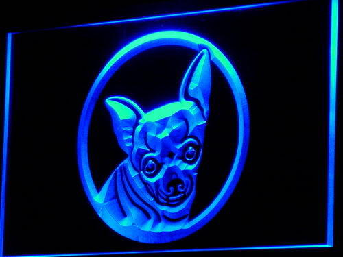 Chihuahua Dog Breed Pet Shop